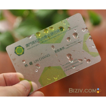 Carte de visite en PVC transparent givré 2015